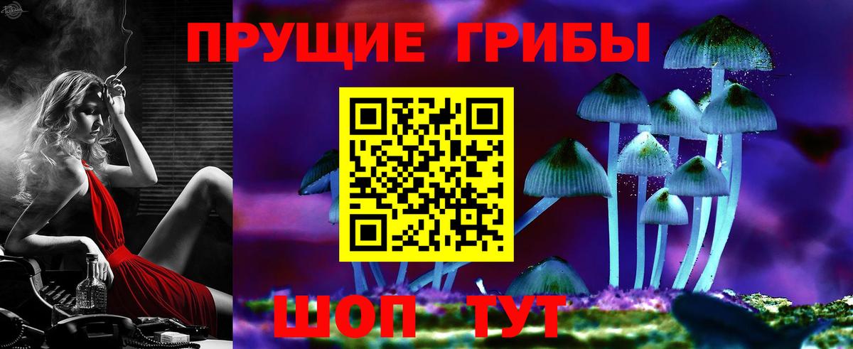 Псилоцибиновые грибы MAGIC MUSHROOMS Рославль