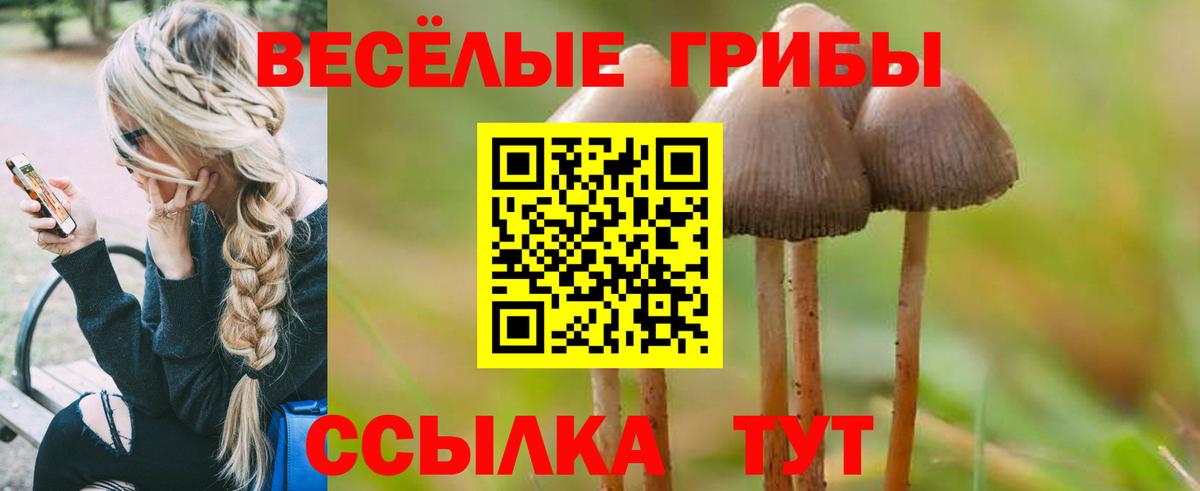 цена наркотик  Галлюциногенные грибы GOLDEN TEACHER  Галлюциногенные грибы ЛСД  Вход с VPN  Рославль 